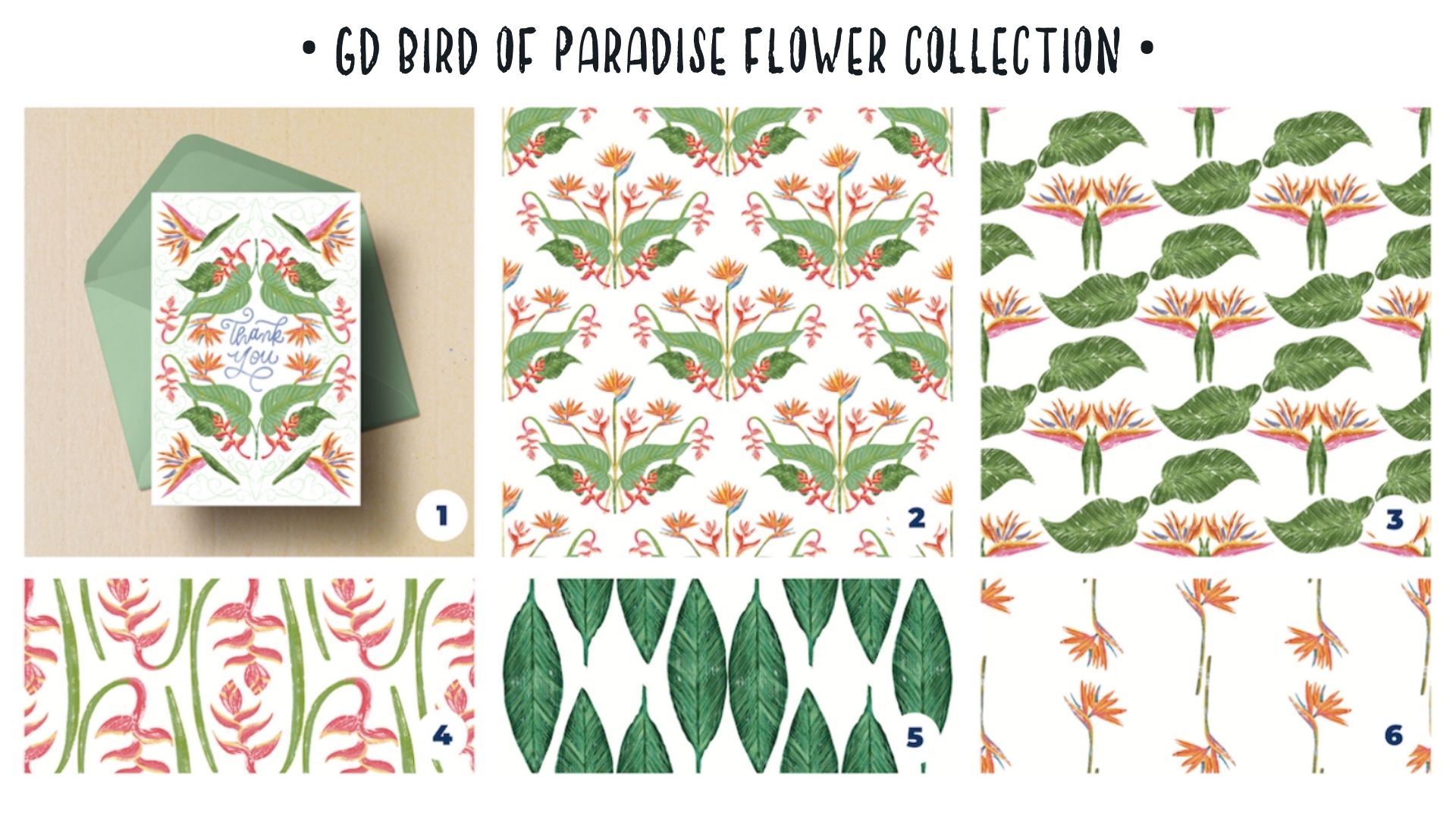 Bird Of Paradise Flower Collection