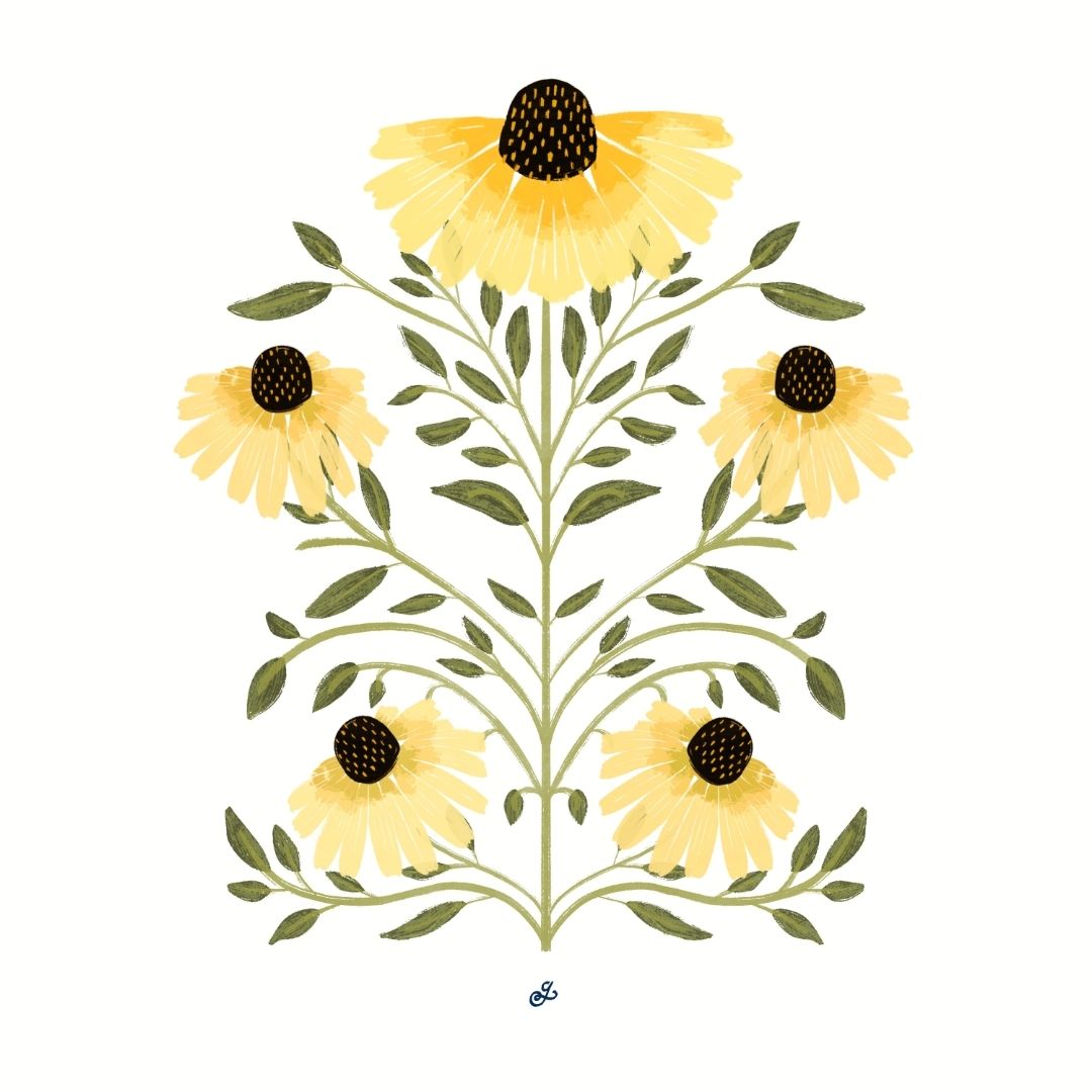 Black Eyed Susan Symmetry
