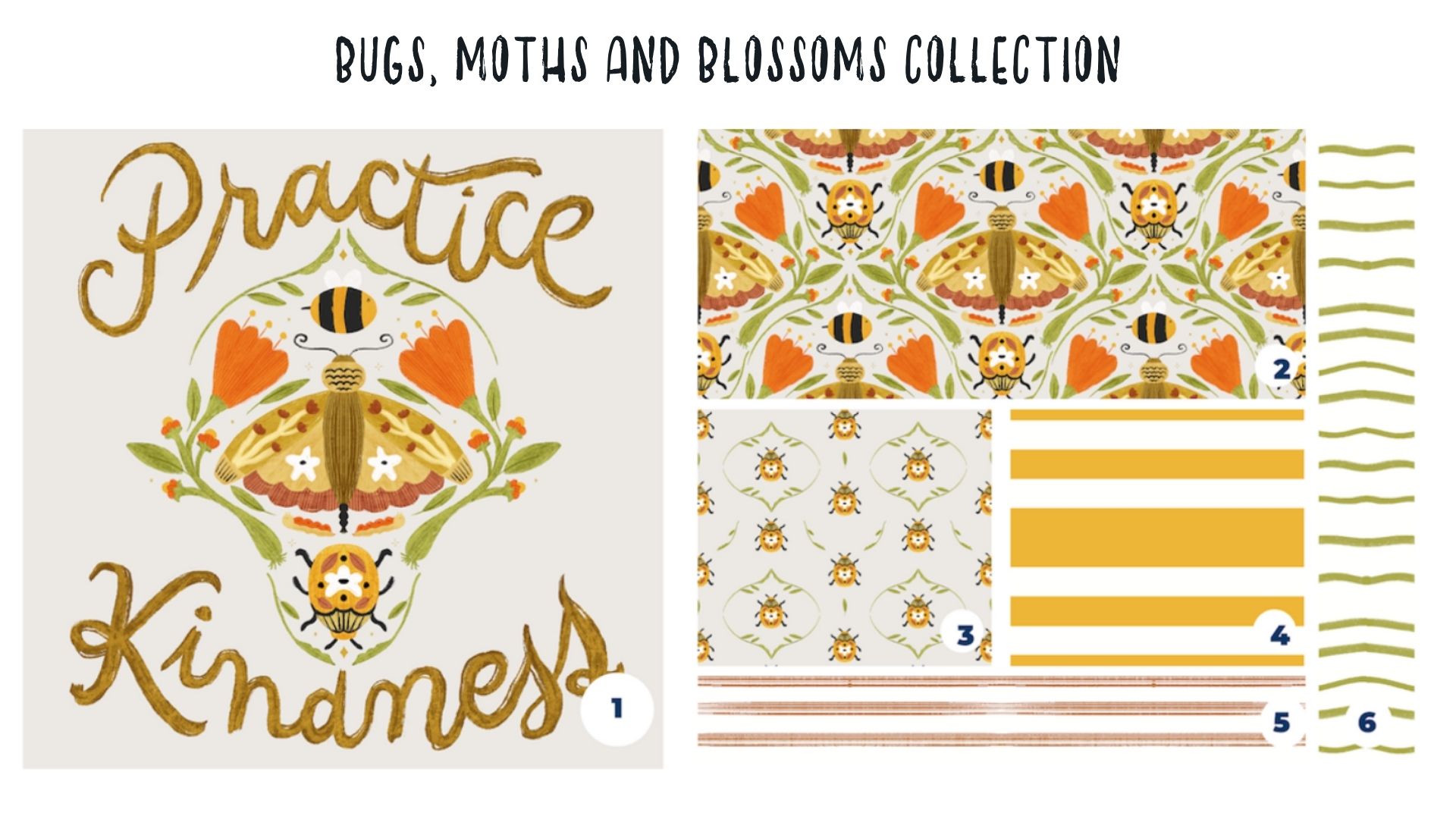 Bugs Moths Blossoms Collection