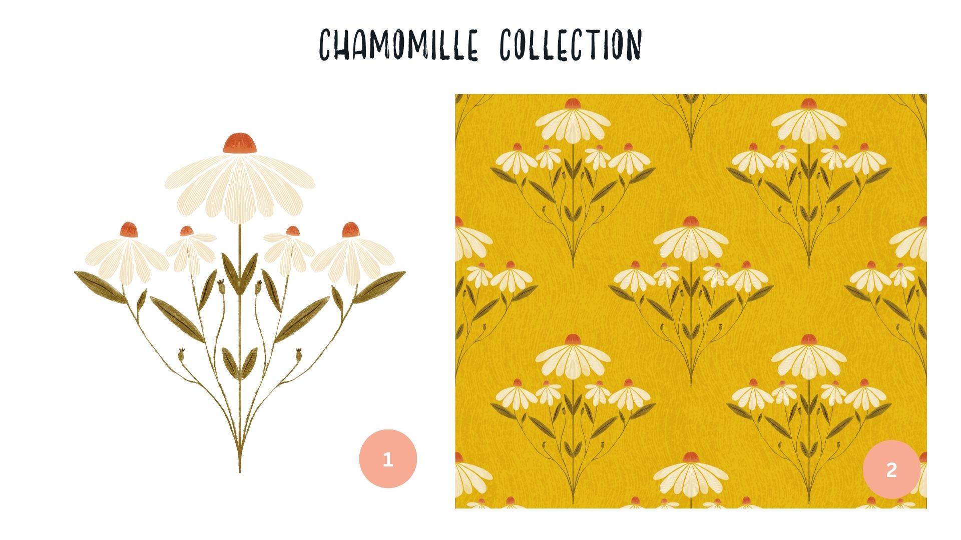 Chamomille Collection