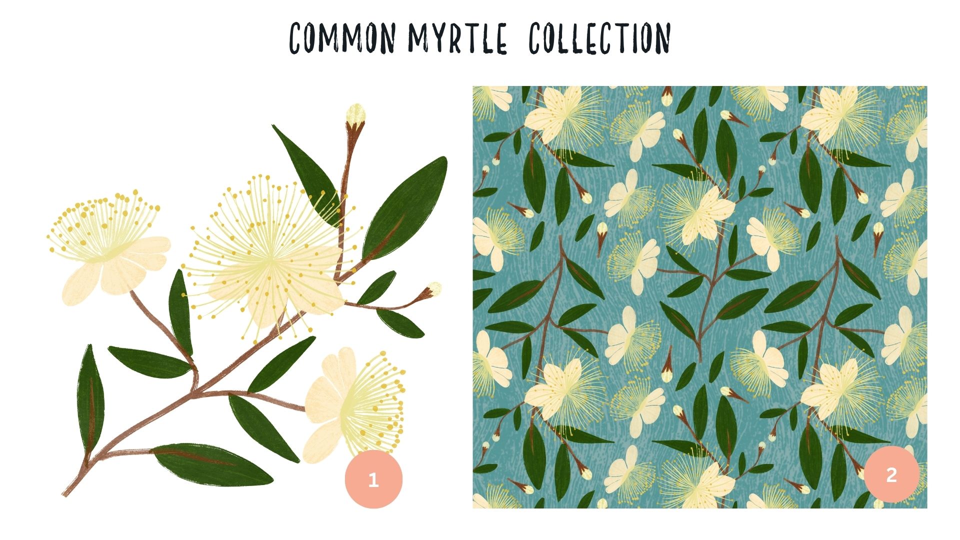 Common Myrtle Collection