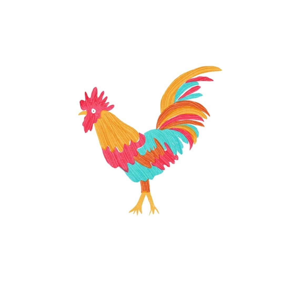 Gallo Dominicano