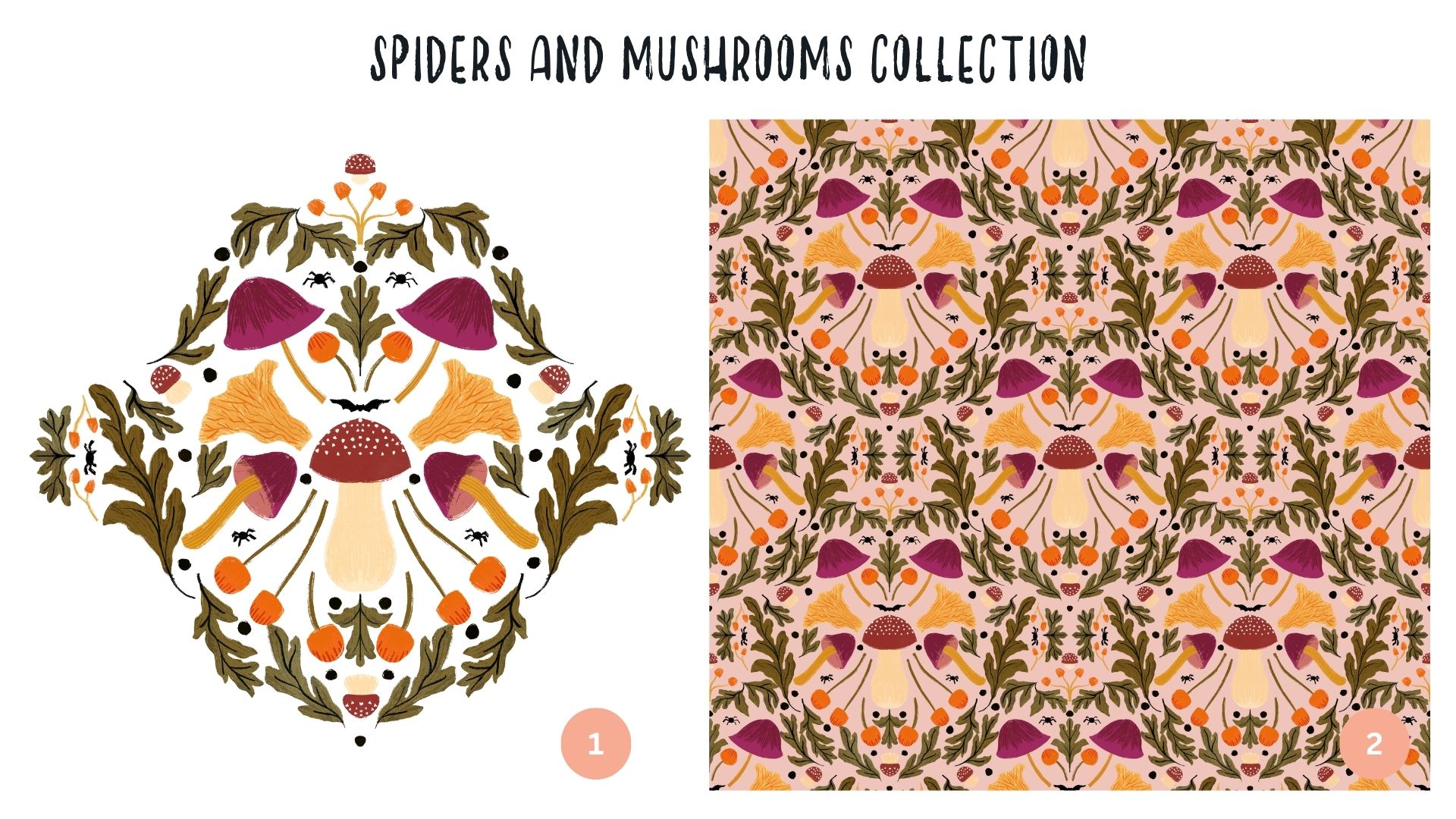 Spiders And Mushrooms Collection