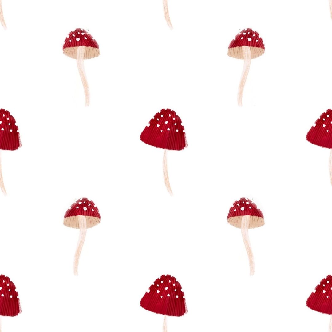 Toadstool Scatter