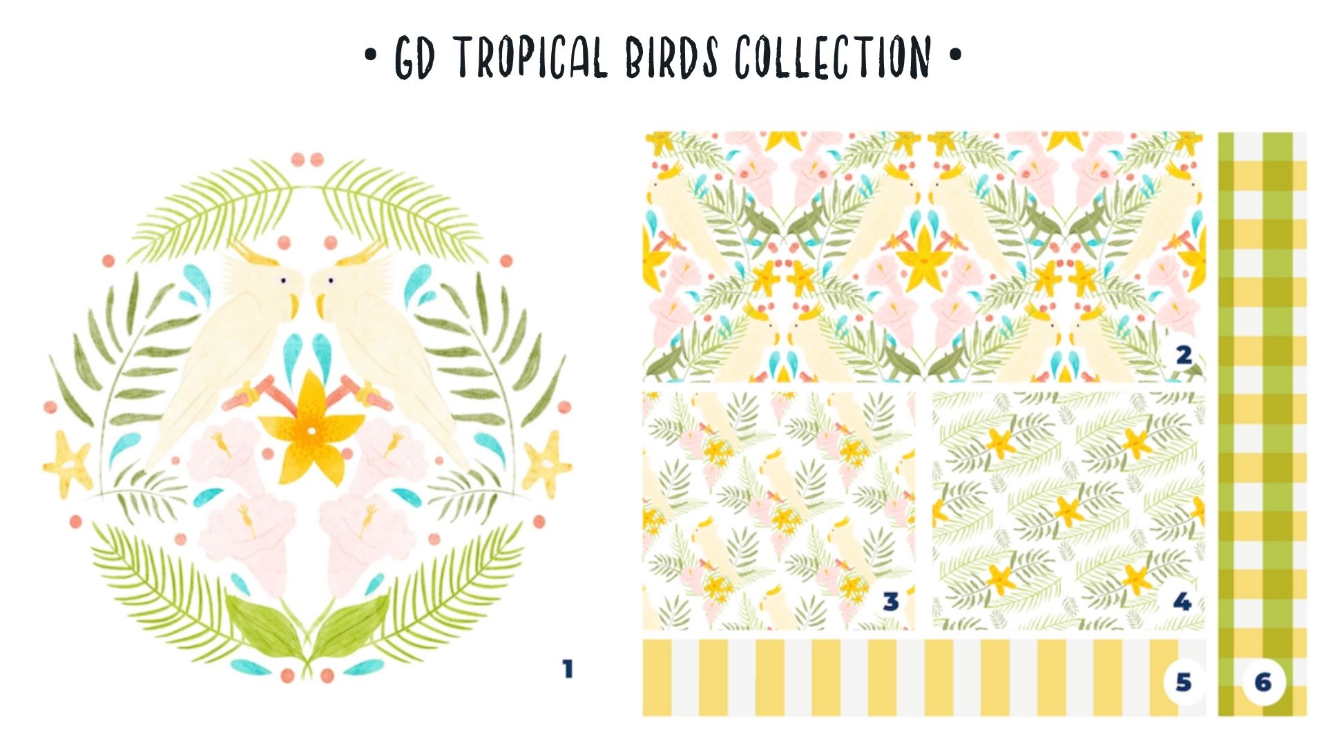 Tropical Birds Collection
