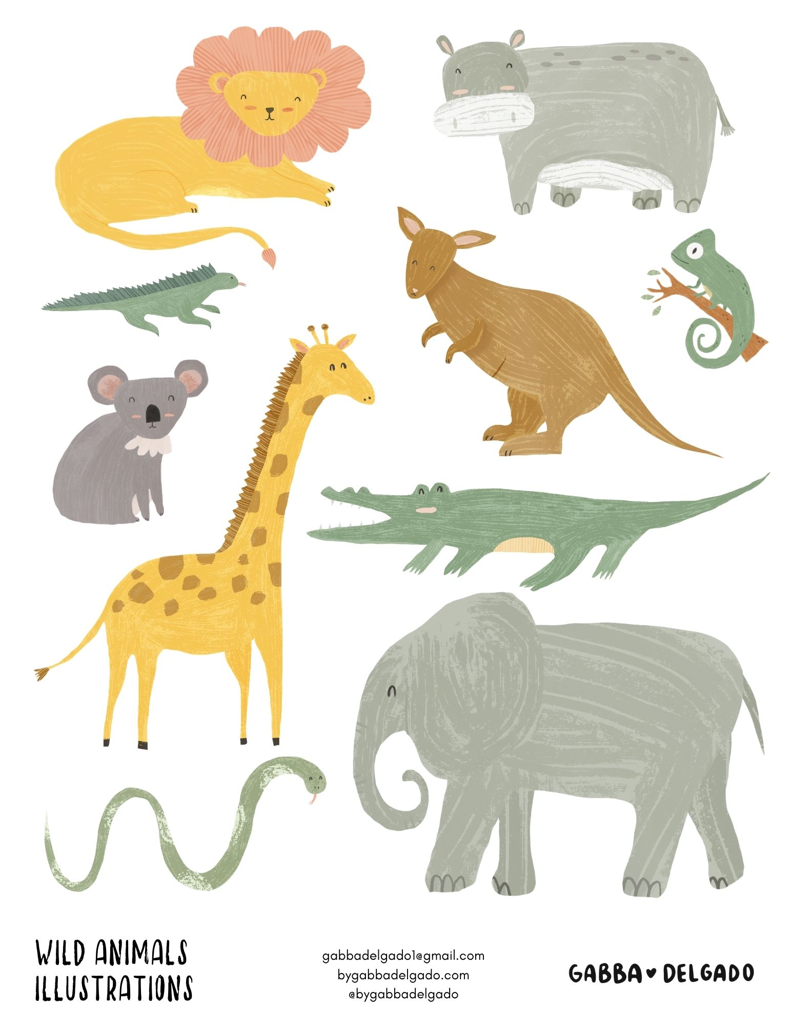 Wild Animals Illustrations