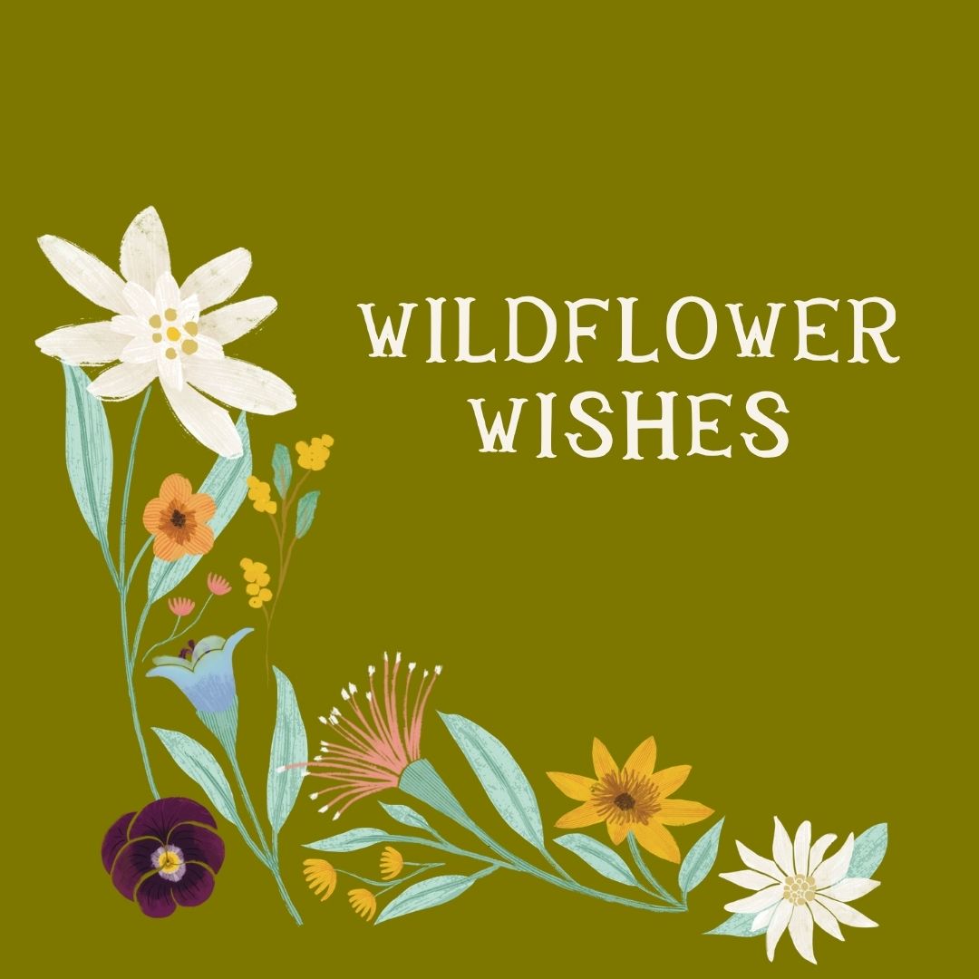 Wildflower Wishes